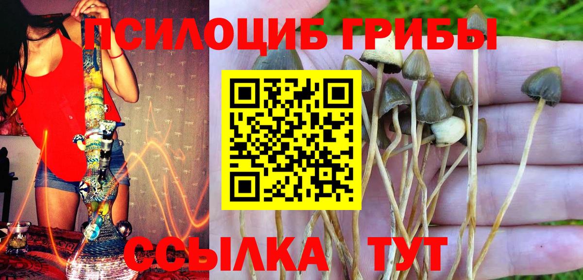 Беслан  Галлюциногенные грибы Magic Shrooms  Вход с VPN 