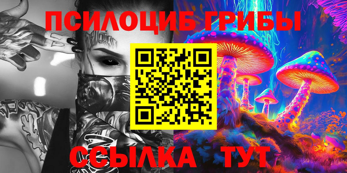 Псилоцибиновые грибы Cubensis Беслан